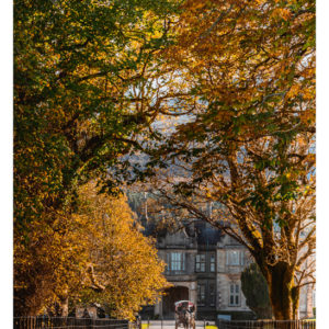 Muckross house at autumn