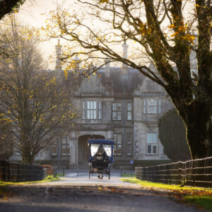 Muckross house at autumn
