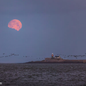 Fenit lighthouse and Moon