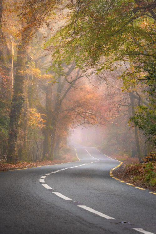 Yellow road Killarney